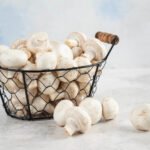 How to choose a mushroom picking lorry?